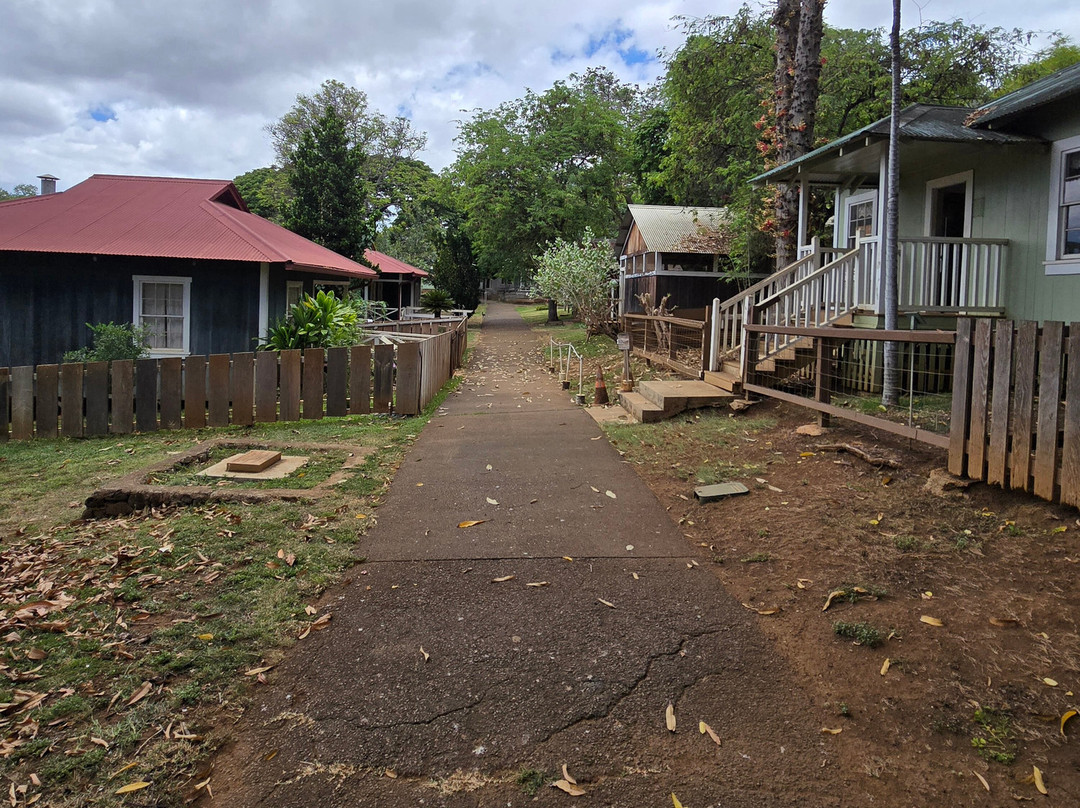 种植园村落-维帕胡必去景点