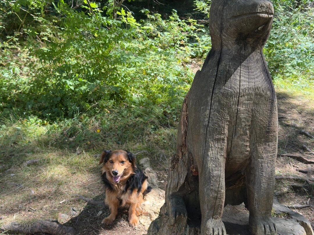 Sentiero Cimbro dell’Immaginario-Luserna必去景点