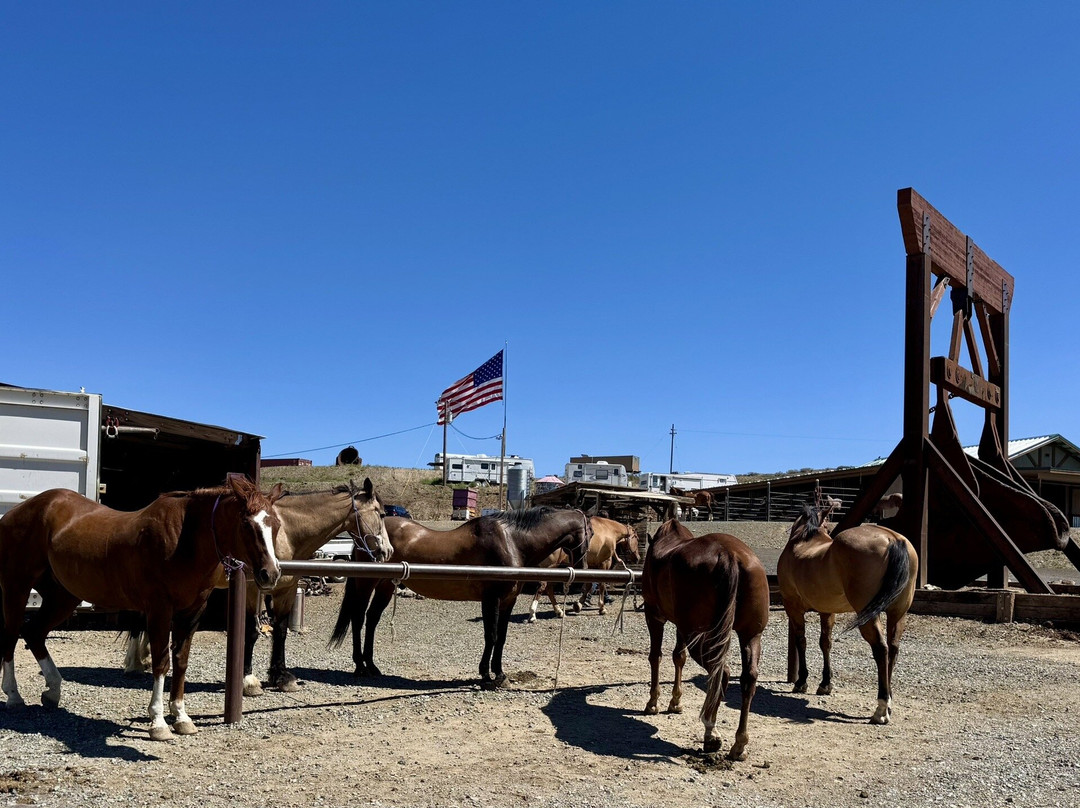 Foothills Ranch-Mayer必去景点