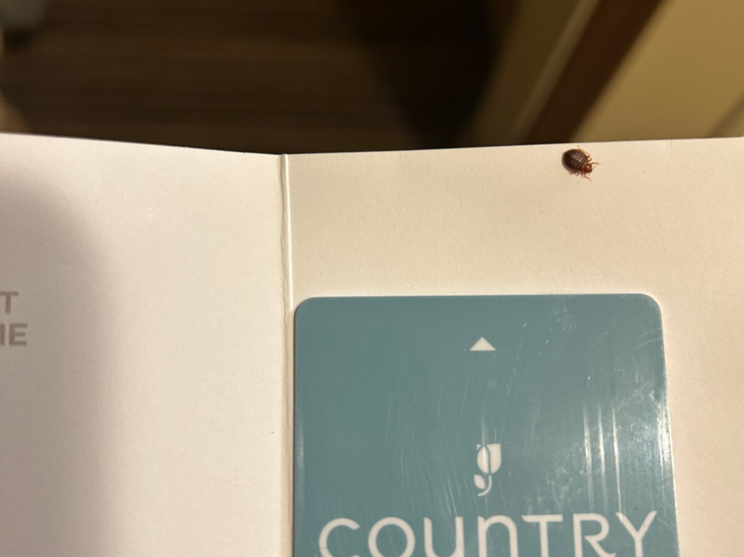 Country Inn & Suites by Radisson, Macedonia, OH主图