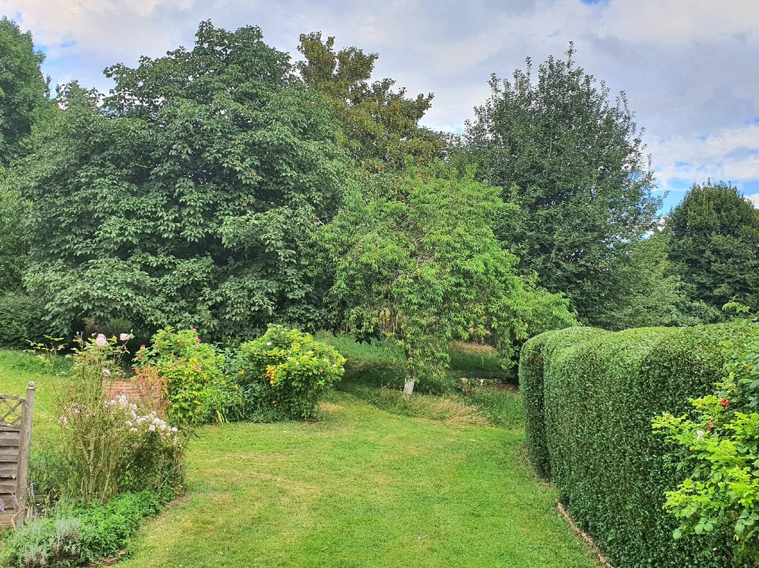 Les Petits Matins Bleus主图