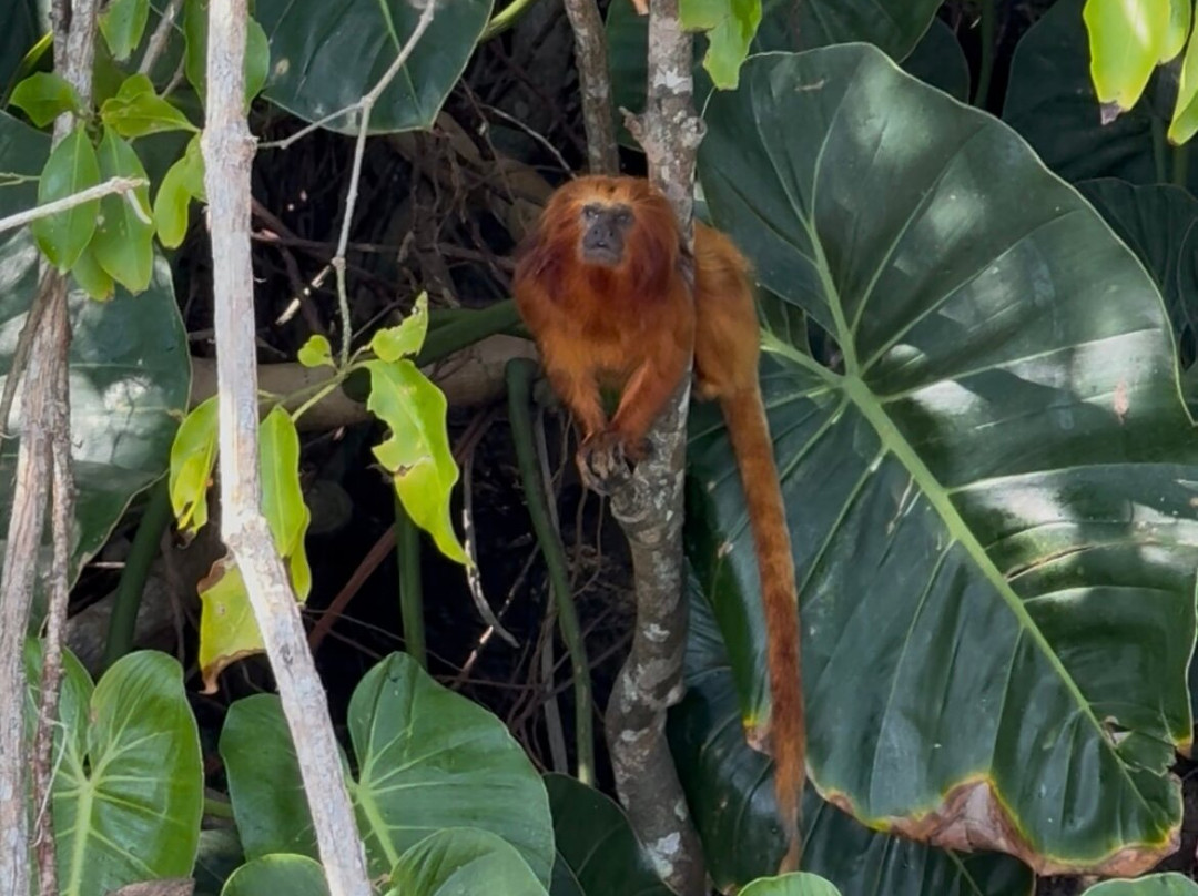Lancha Mazu-帕拉地必去景点