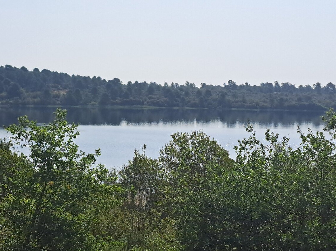 Site d'Arjuzanx-Arjuzanx必去景点