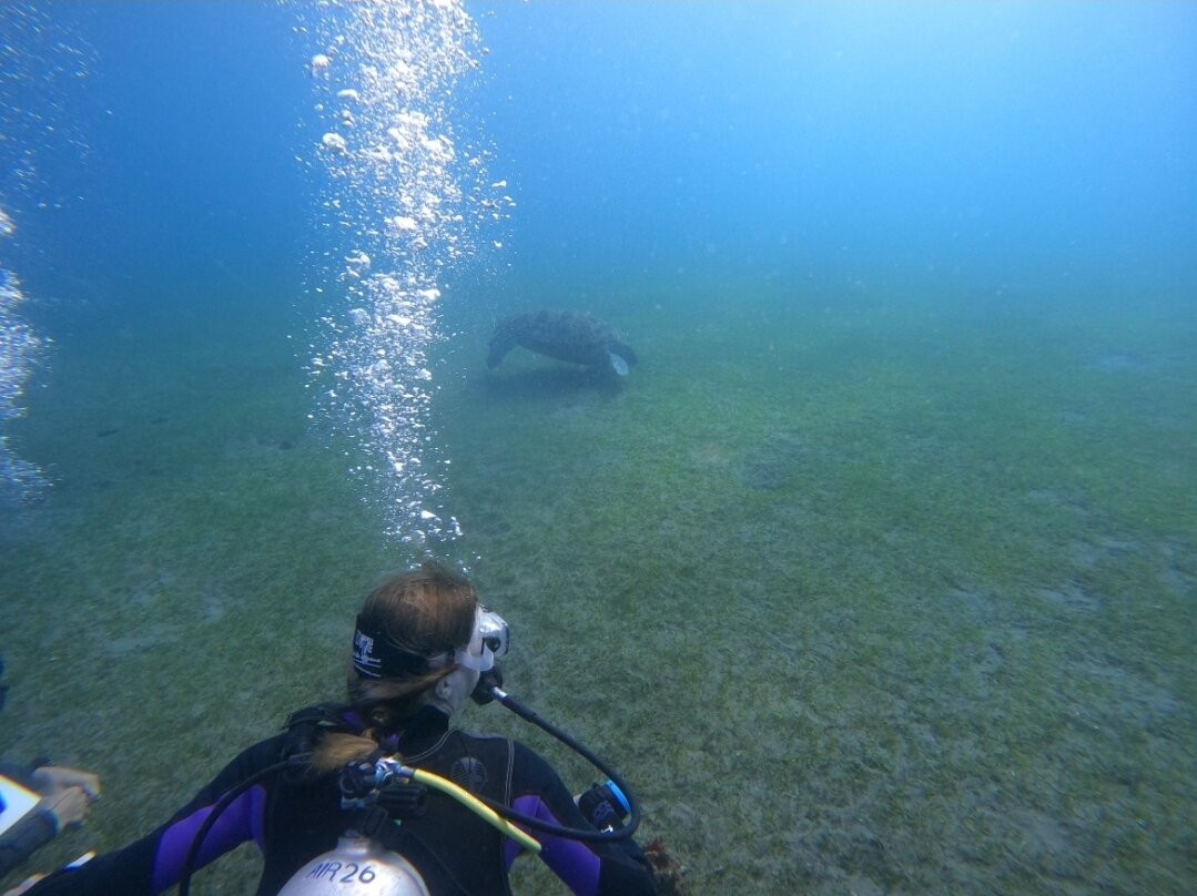 Dive Society Dauin-岛印必去景点