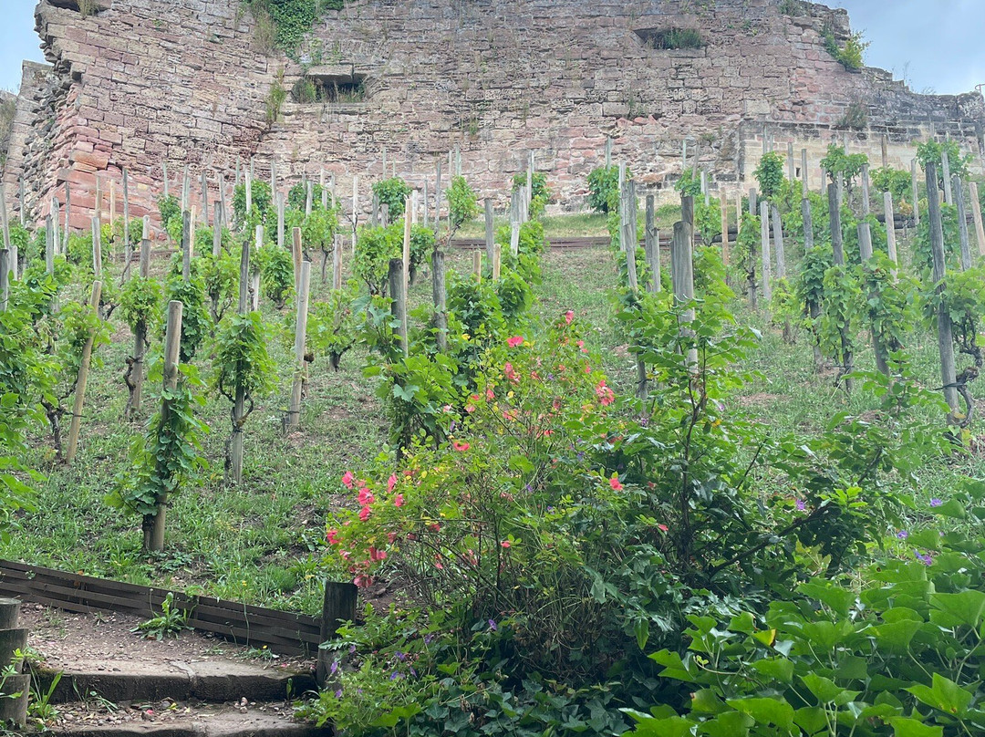 Chateau d'Epinal-埃皮纳勒必去景点