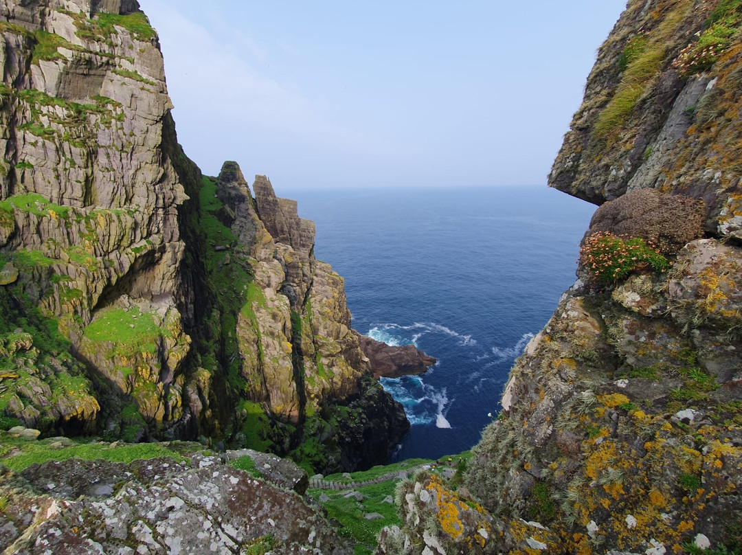 Skellig Falcon-Ballinskelligs必去景点