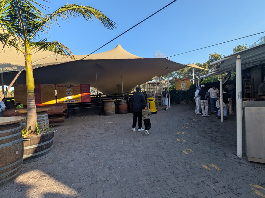 Cool Runnings-Bellville必去景点