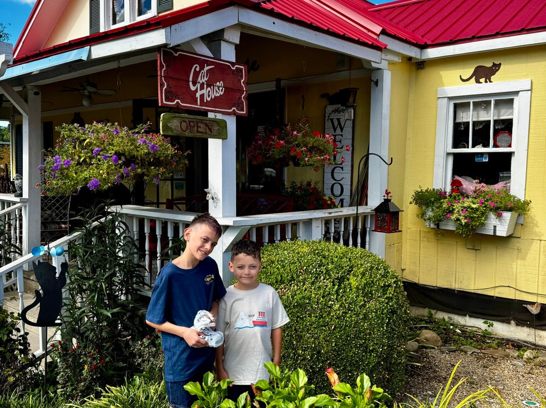 Smoky Mountain Cat House-皮金福奇必去景点