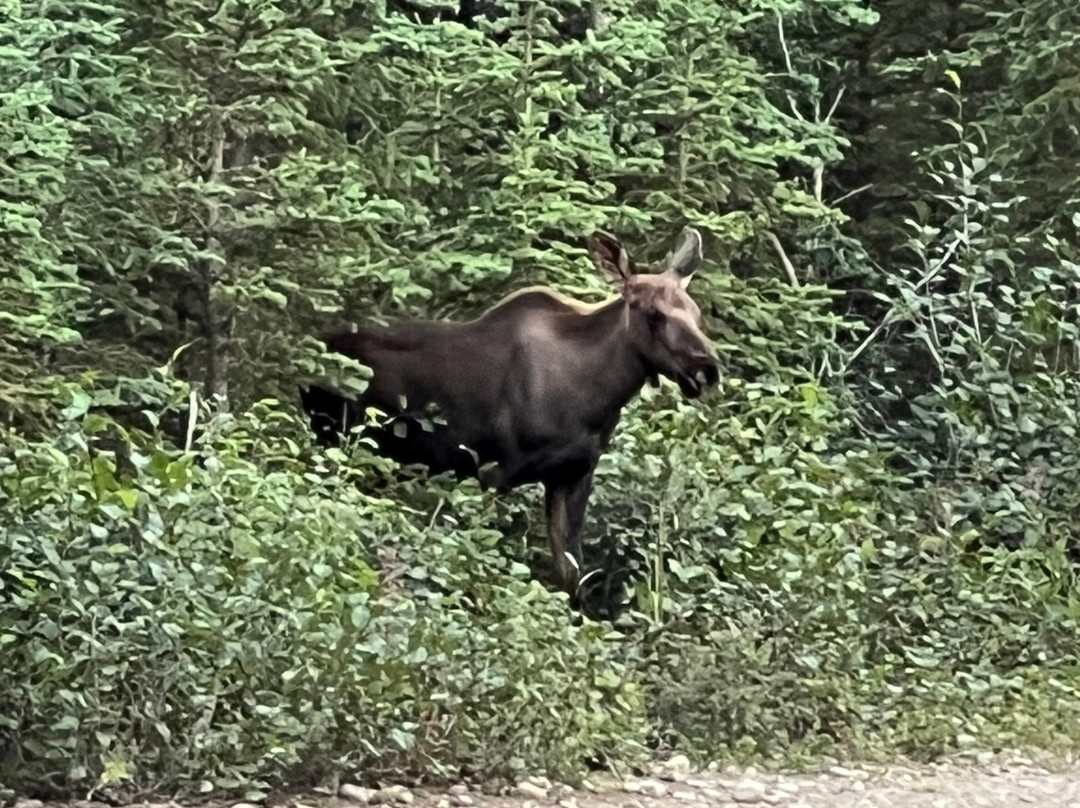 Black Diamond Resort Company-希利必去景点