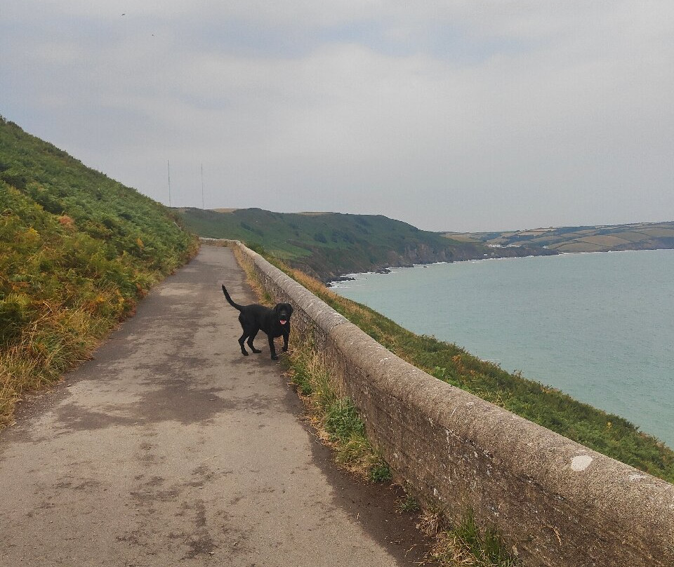 Start Point Lighthouse-金斯布里奇必去景点