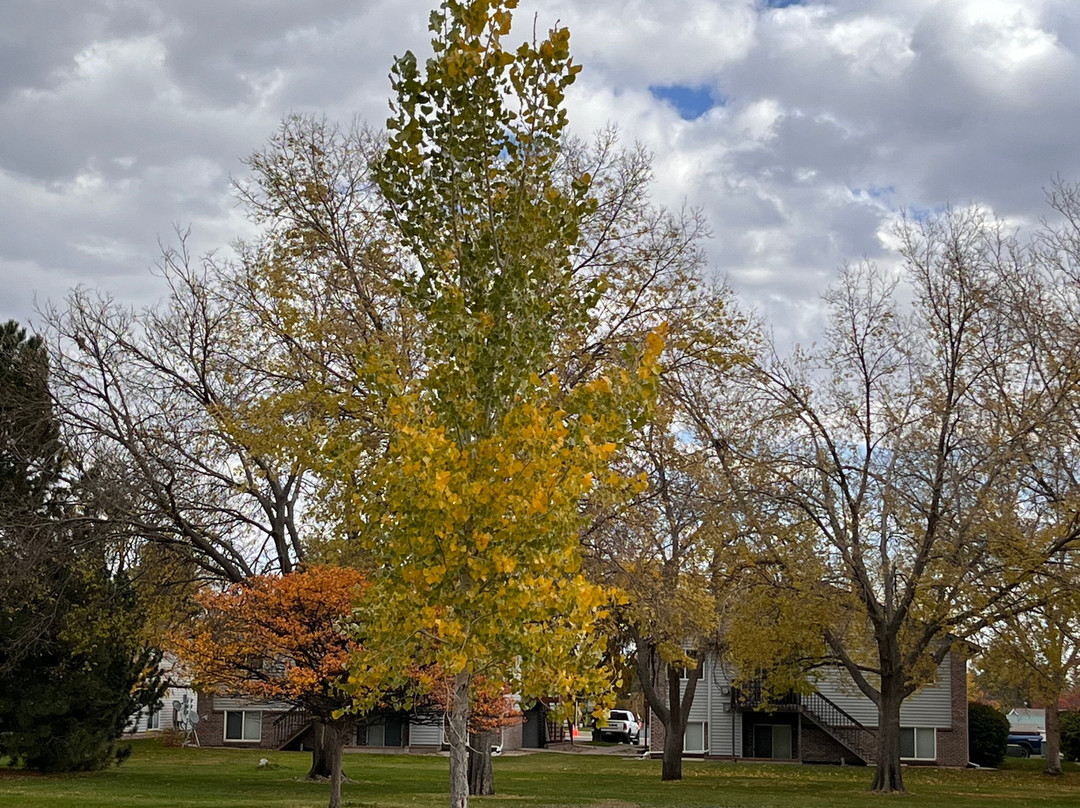 Anna Gimmestad Memorial Park