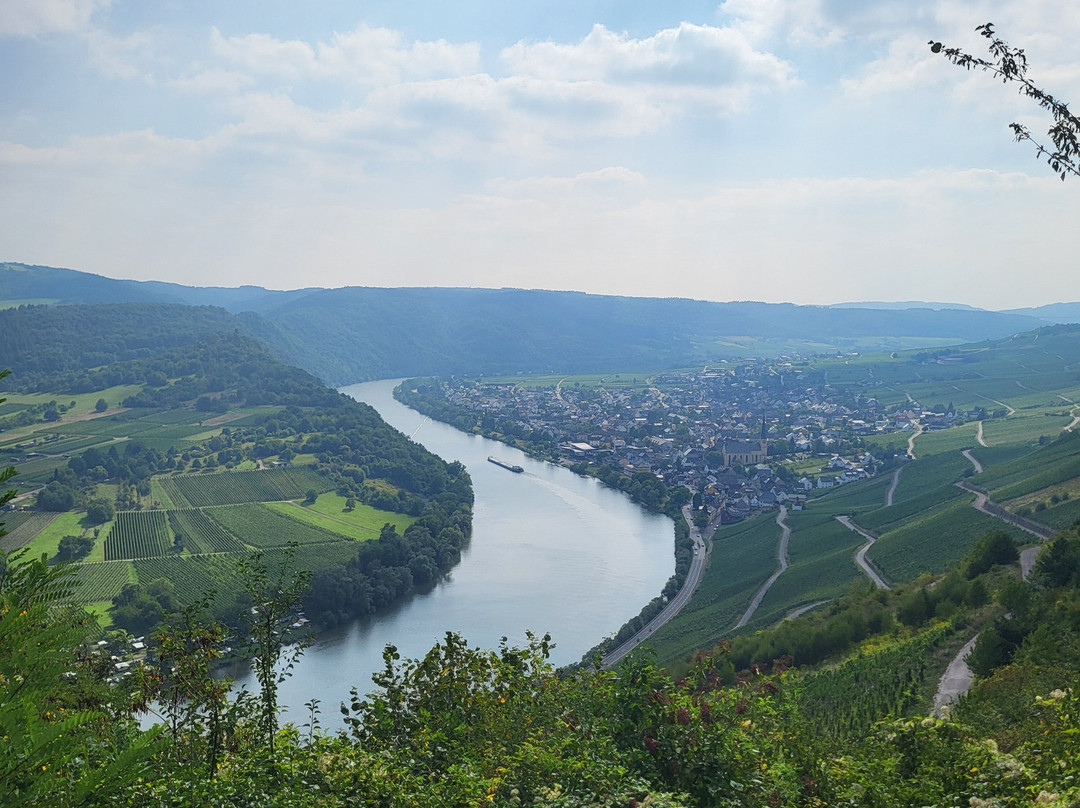 Manfred Schmitz-Zeltingen-Rachtig必去景点