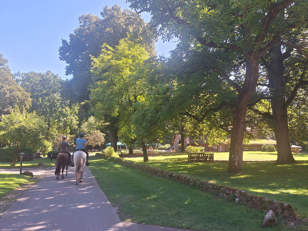 Hotel Hof Tutsberg主图