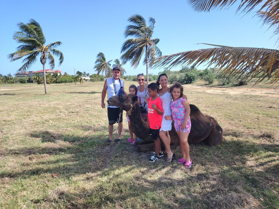 Delfinario-巴拉德罗必去景点