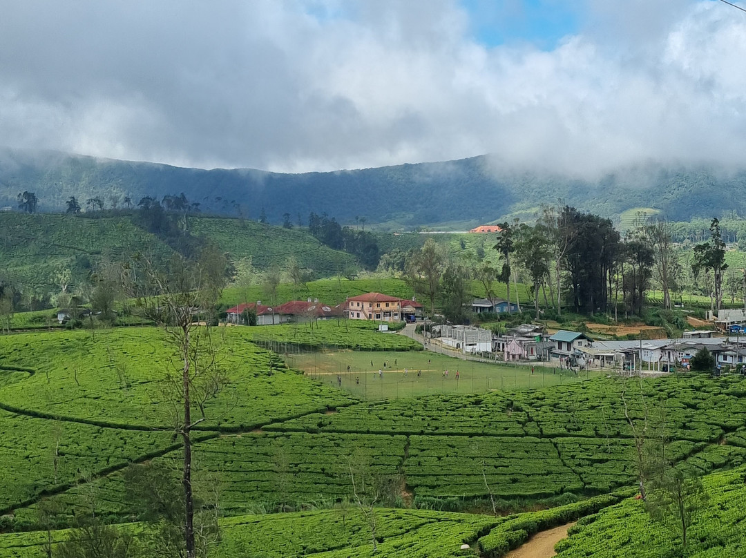 Leo Eco Tours Sri Lanka-Godagama必去景点