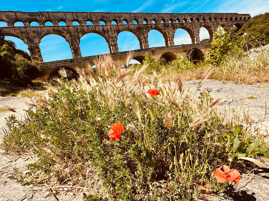 瑞斯德酒店 - 加尔桥公寓主图