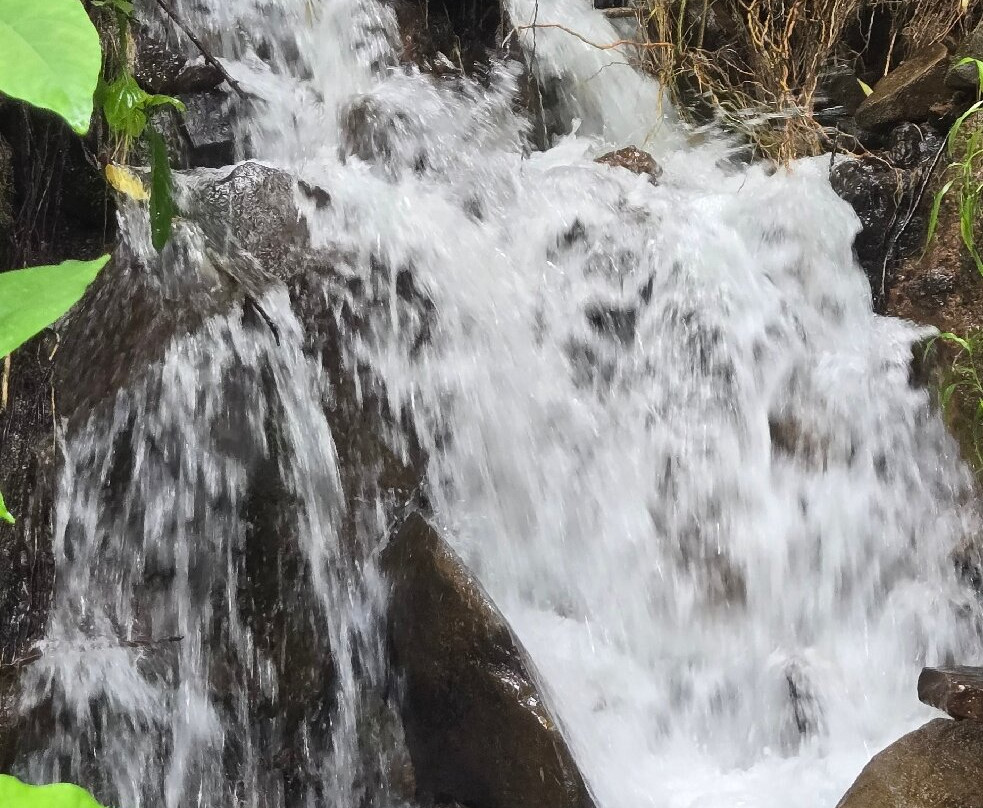 Spring Paradise Bijagua Tours-Bijagua de Upala必去景点