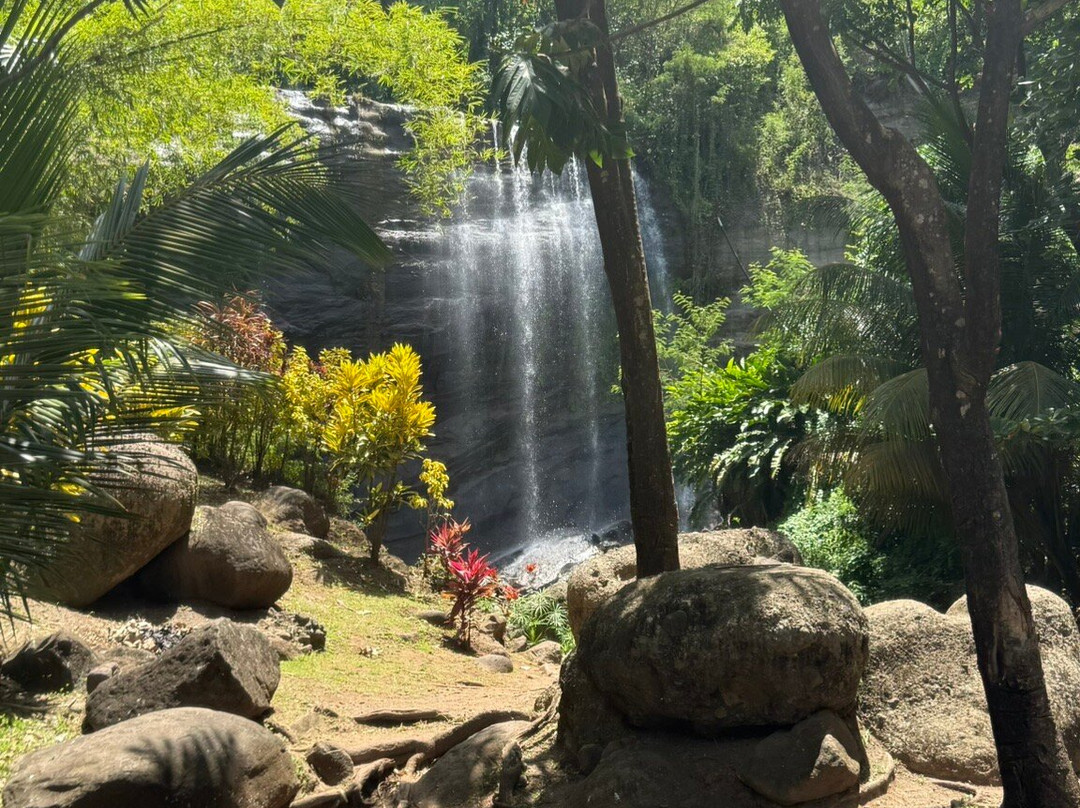 A Sweet Grenada Tours & Taxi-格林纳达必去景点