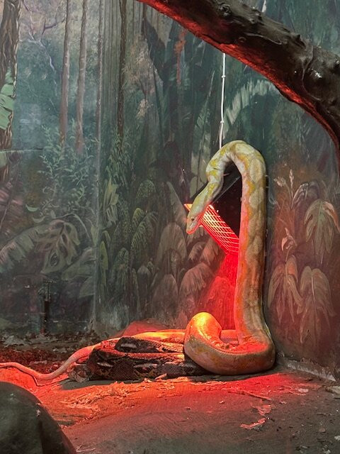 Zulu Croc Reptile Park-Hluhluwe Game Reserve必去景点