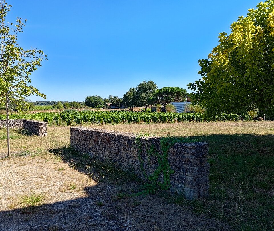 Château Climens-Barsac必去景点