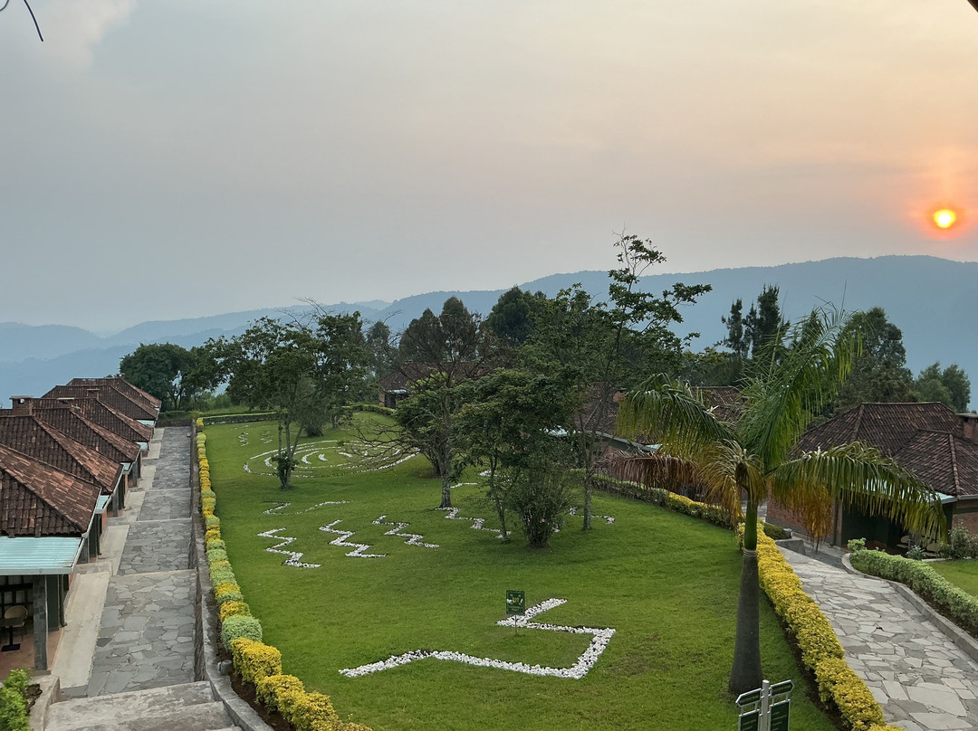 Nyungwe National Park - Rwanda-Western Province必去景点