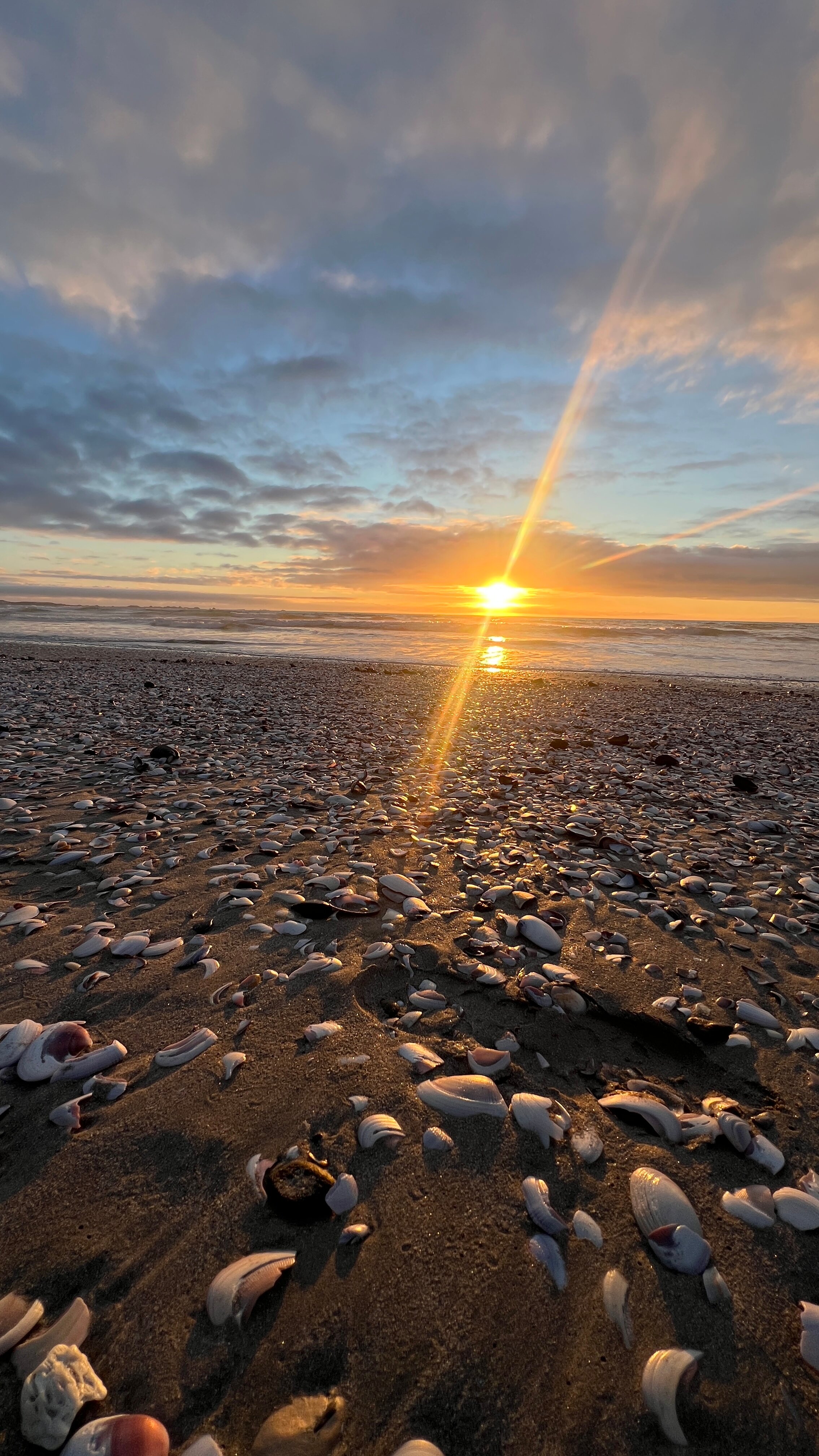 斯川德乐普海洋小屋-泳池