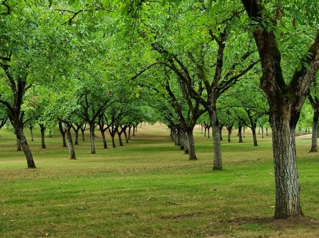 Ecomusée de la Noix-Castelnaud-la-Chapelle必去景点