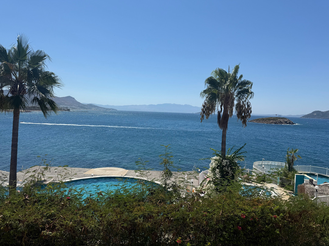 Kadikale Resort