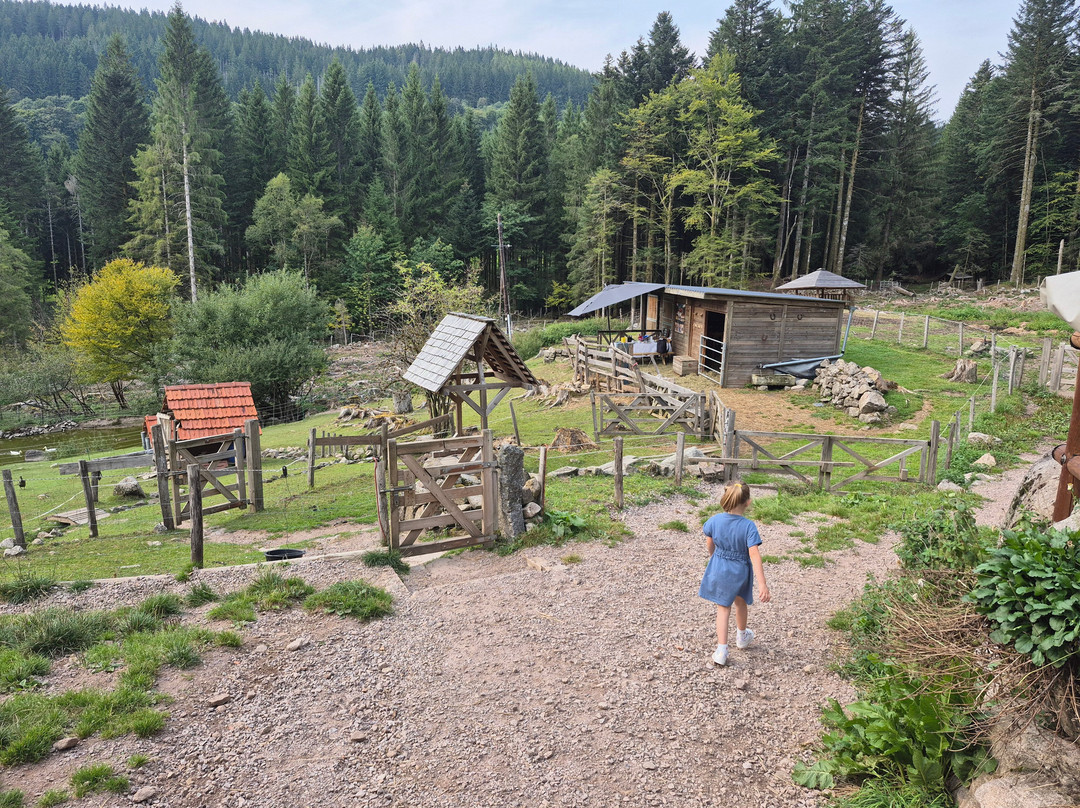 Ferme Jean Des Houx-Sapois必去景点