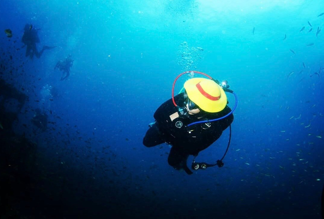 Dolphin Dive Centre Phuket-普吉岛必去景点