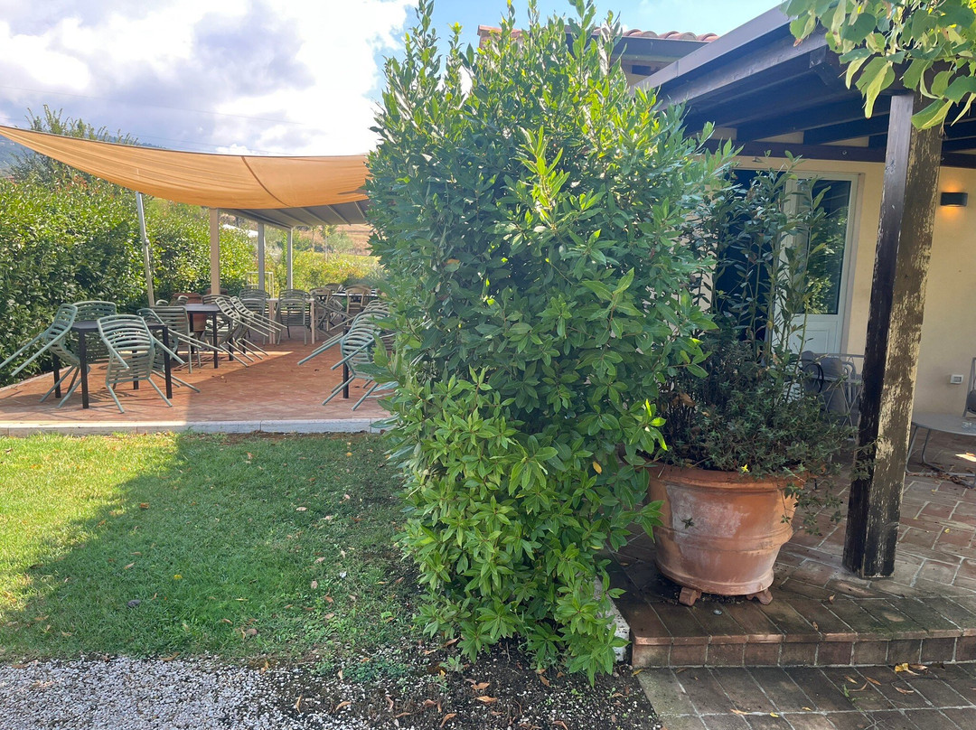 Anna Boccali Resort主图