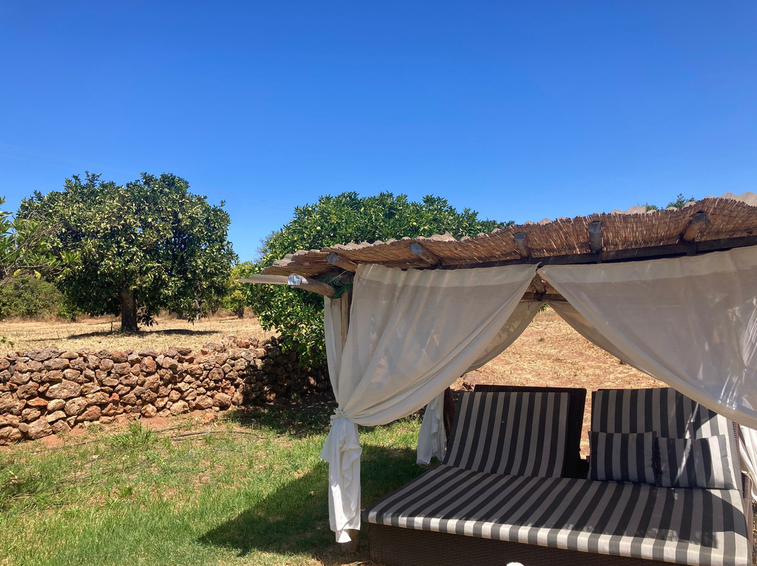 Quinta da Luz - A Luxury Boutique B&B主图