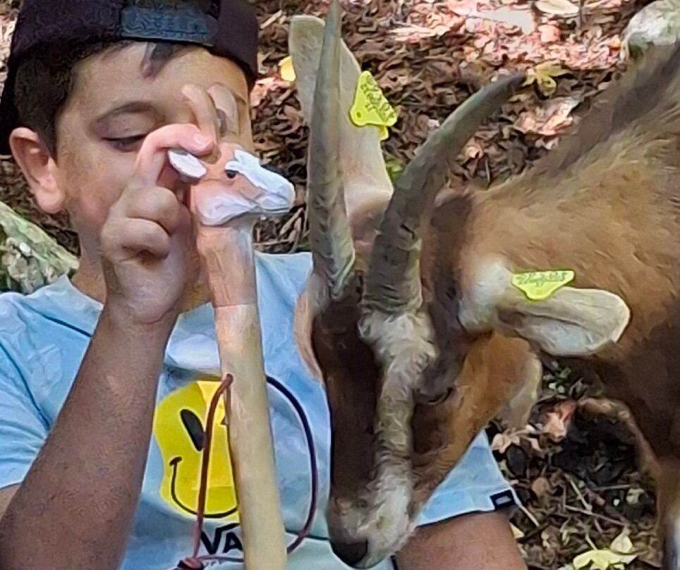 Maso Guez-San Sebastiano必去景点