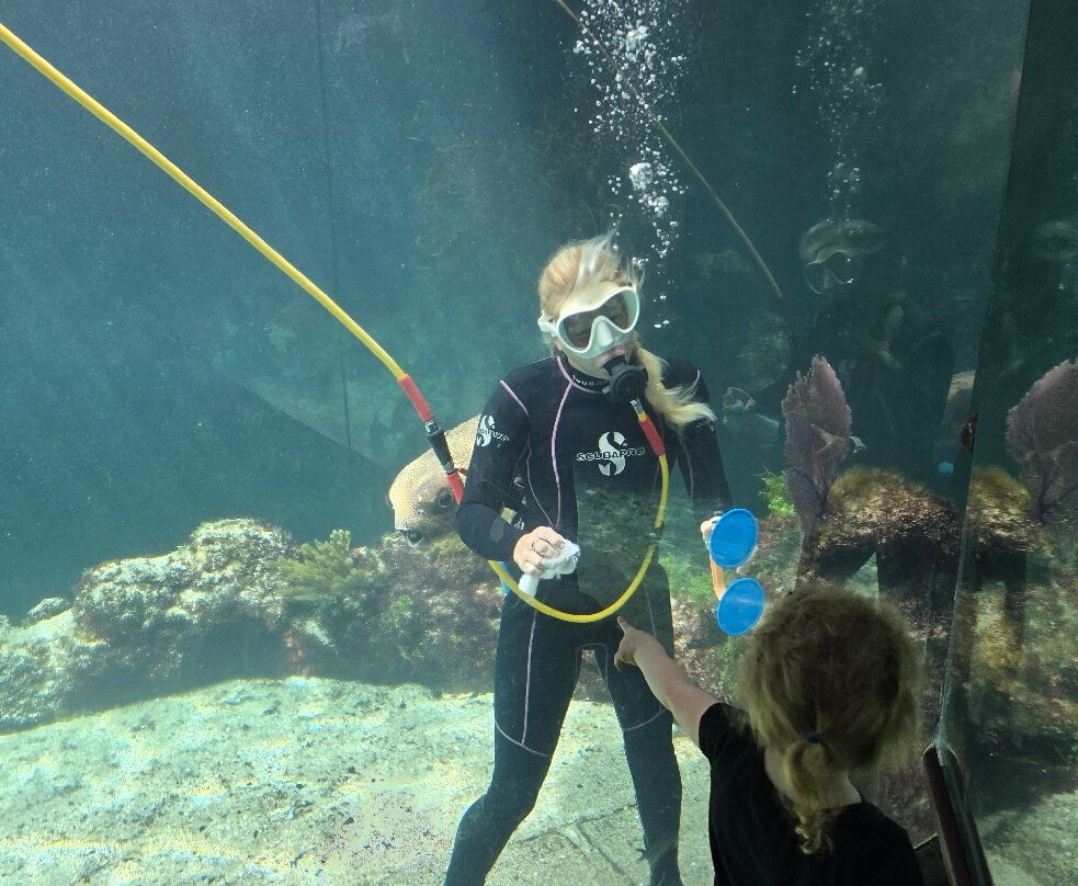 Bermuda Aquarium, Museum & Zoo-Hamilton Parish必去景点