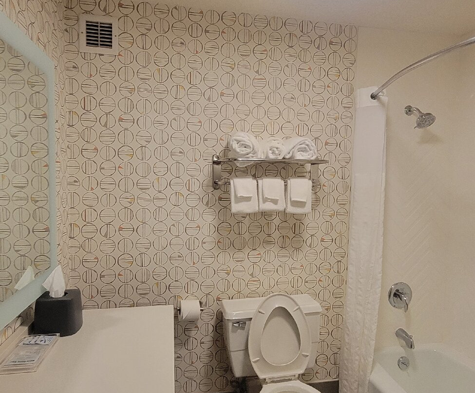 Holiday Inn Asheville - Biltmore West By IHG主图