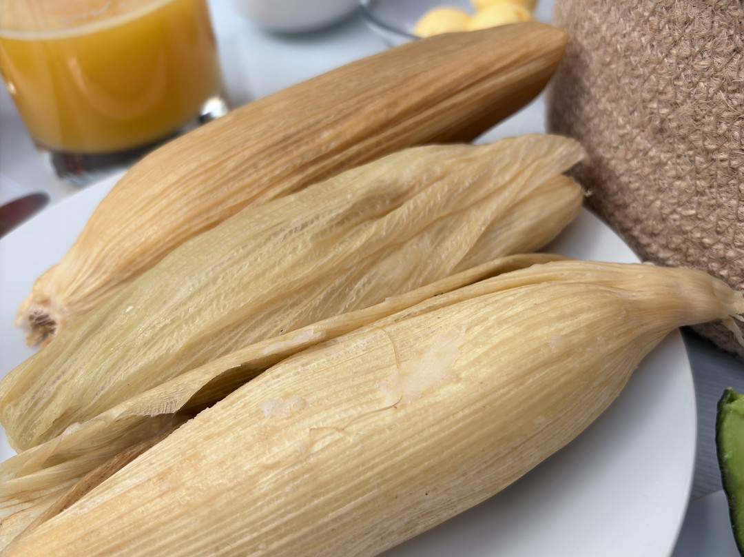 Hotel Andes de Urubamba主图