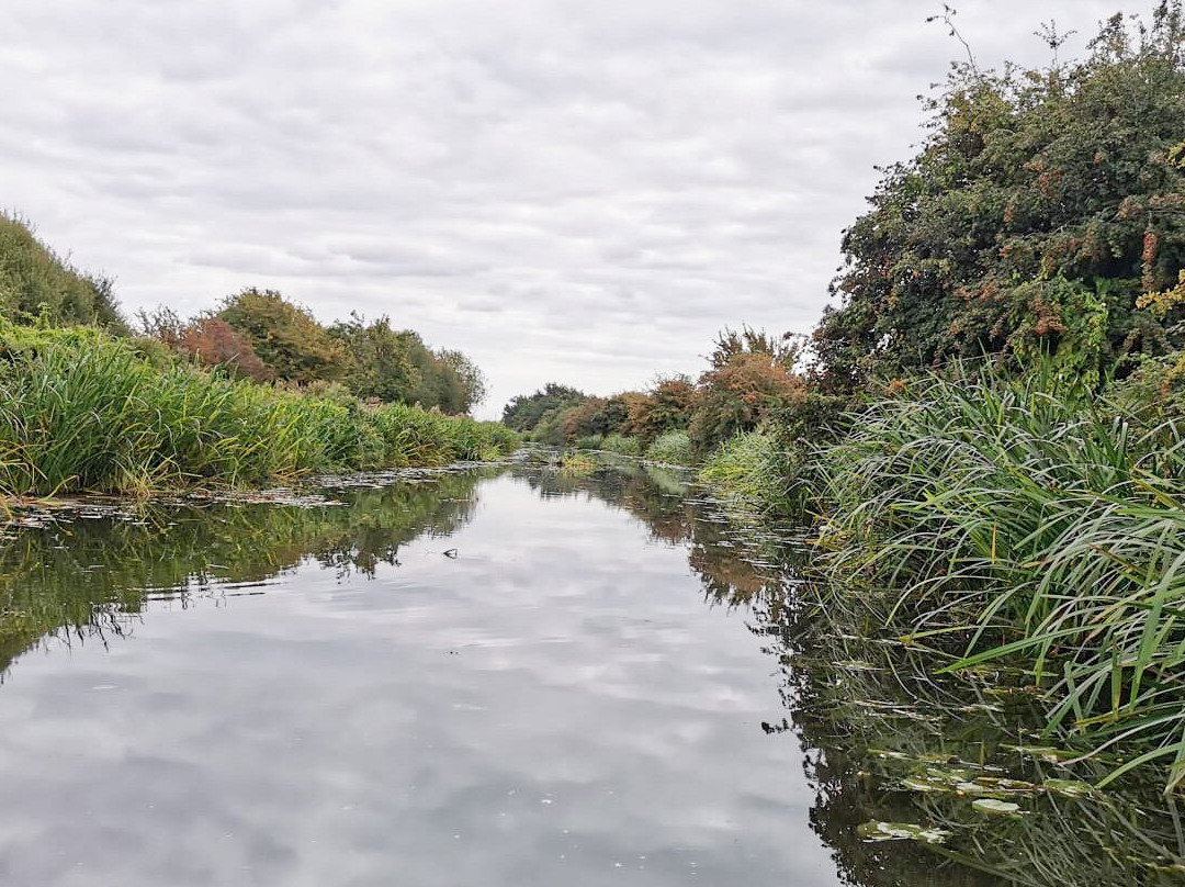 Chelmer Cruises - Heybridge Basin-Heybridge必去景点
