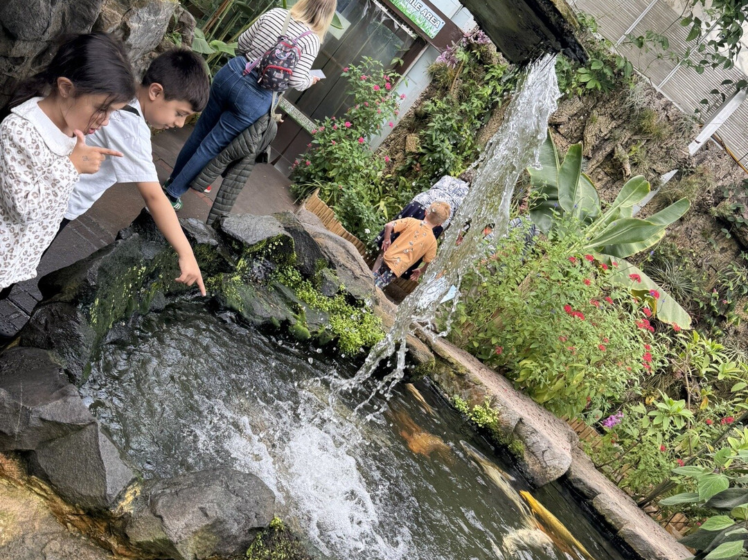 Butterfly World-斯托克顿提斯必去景点