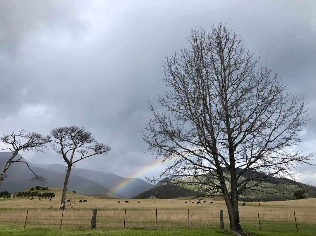 Araluen Valley Hotel主图