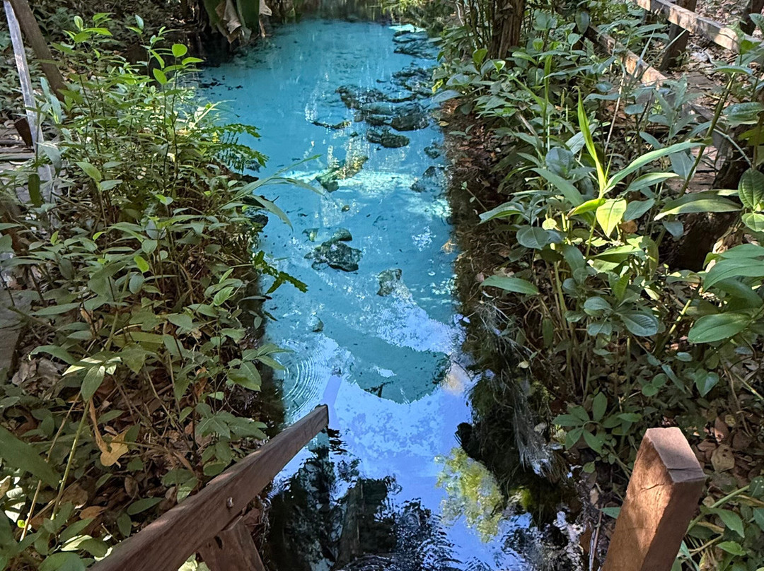 Calai Turismo-Palmas必去景点