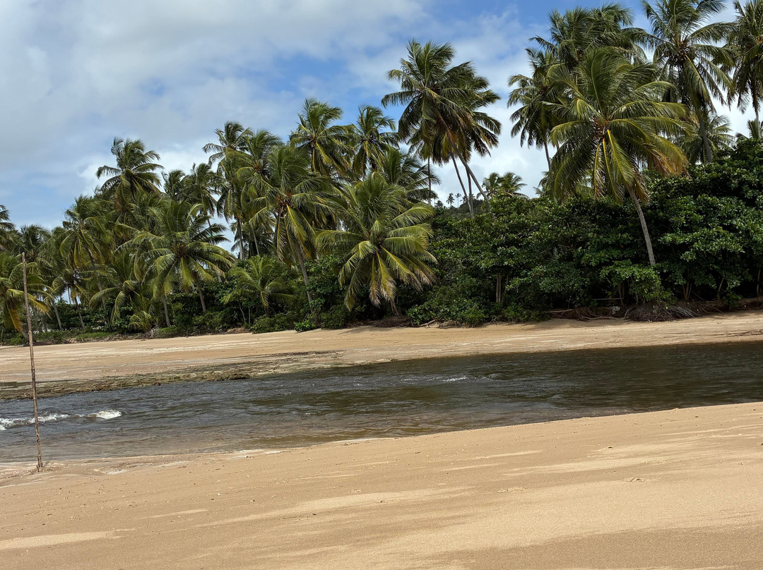 Praia São Bento-Maragogi必去景点