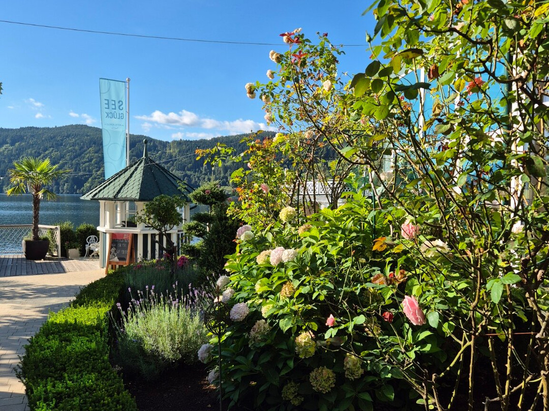 SEEGLUCK Hotel Forelle/Hotel am see - Die Forelle主图