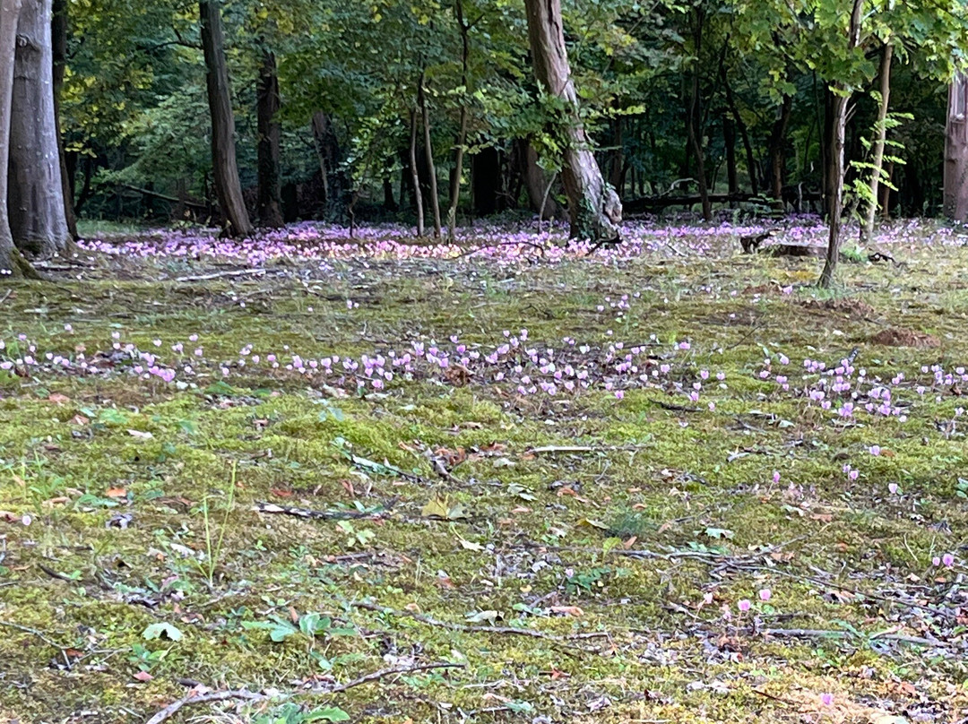 德拉图尔城堡酒店主图