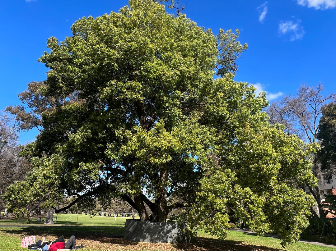 法克纳公园-South Yarra必去景点