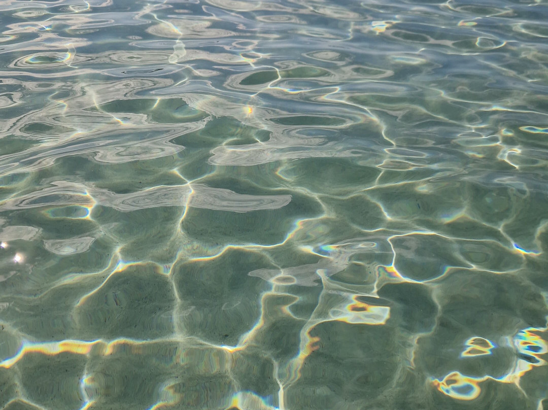 Lido Bacino Grande主图