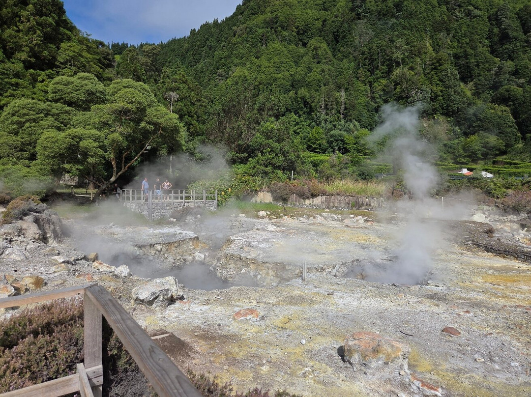 Pedro Ferreira Azores Tours-蓬塔德尔加达必去景点
