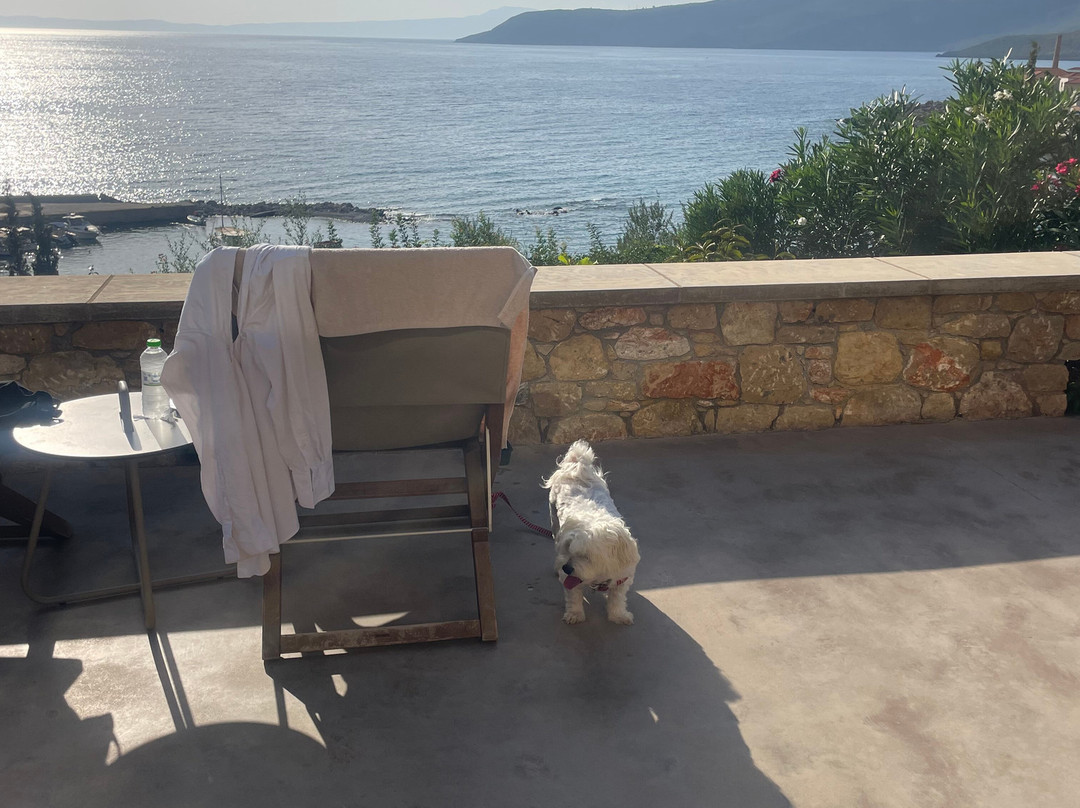 Diapori Suites Hotel主图