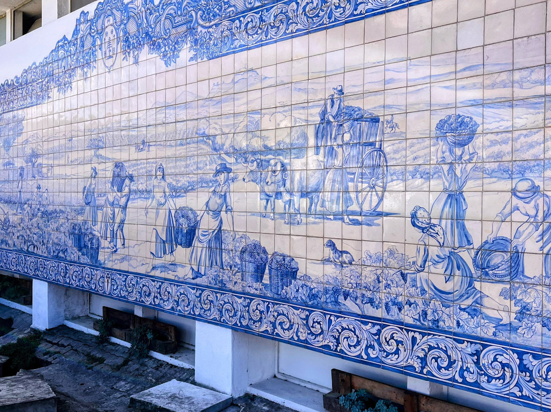 Adega de Palmela-Palmela必去景点