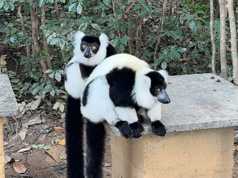 GAEL TOURS MADAGASCAR-诺西贝必去景点