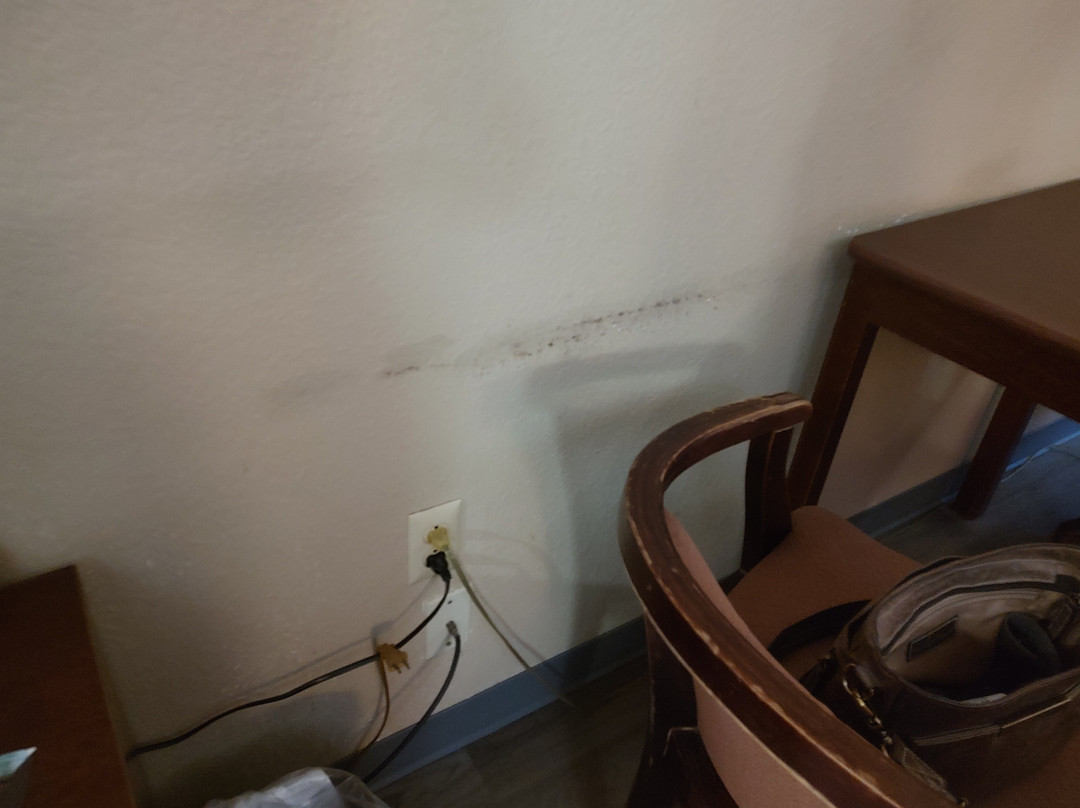 Super 8 by Wyndham Erwin主图